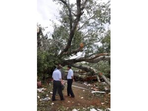 Fırtınanın Şiddeti Gün Aydınlanınca Ortaya Çıktı