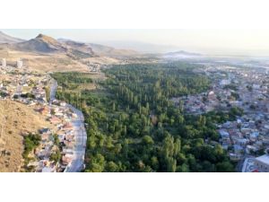 Develi'de Yeşil Alan Miktarı Kişi Başı 16 Metrekareye Çıktı