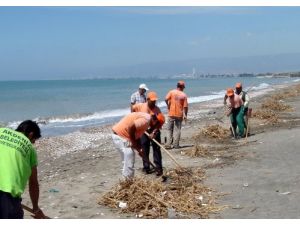 Deniz Kaplumbağalarının Yumurta Bıraktığı Kazanlı Sahili Temizlendi