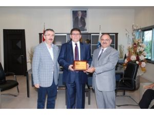 "Plastik Sektöründeki Firmalar Büyük İşletme Oluyor"