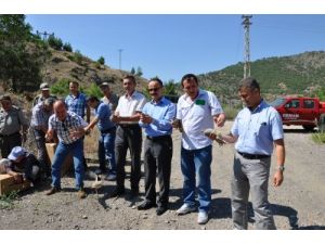 Amasya’da Doğaya 700 Adet Keklik Bırakıldı