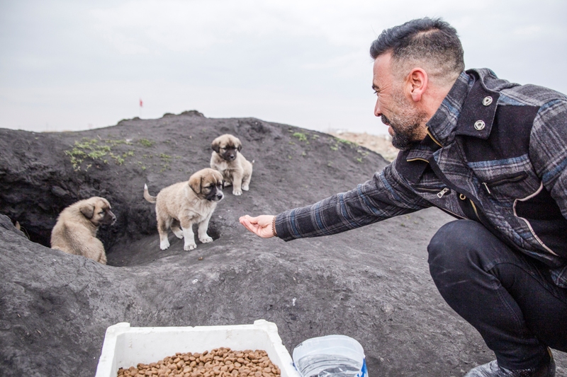 Yaralı köpeğe yardım eli uzandı