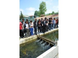 'Su Ürünleri Ve Balıkçılık Teknolojisi Mühendisliğine İtibar Kazandırmalıyız'