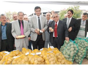 Organik patates pazarda