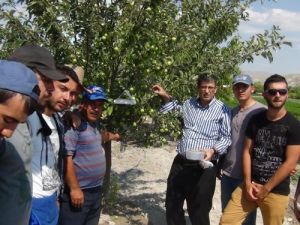 Üniversite Zararlılara Karşı Faydalı Böcek Üretmeye Başladı