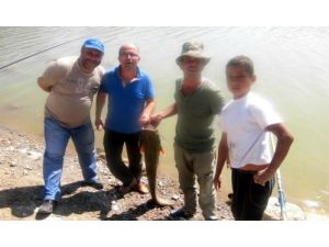 Oltayla 14 Kiloluk Yayın Balığı Yakaladı