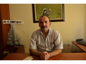 Akkaya Kuş Cenneti'nde Kuş Türü Sayısında Artış Gözlendi