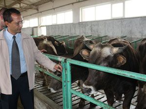 Burun izinden tanımlama
