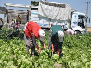 Türkiye'nin Aysbergi Ankara'da Üretiliyor