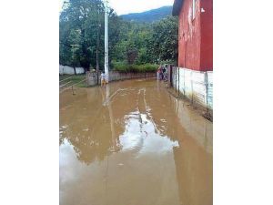 Toprak Kayması Dereyi Tıkadı, Mahalle Çamur Deryasına Döndü
