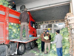 Sebze hali kışa hazır