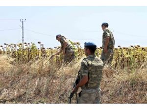 Jandarma, Silivri'de Kuş Uçurtmuyor