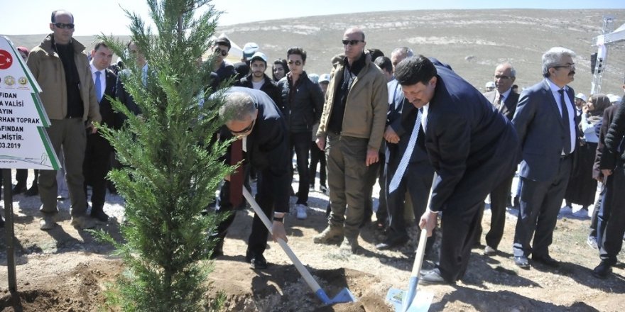 SÜ’de “Orman Haftası ve Ağaç Bayramı” kutlandı