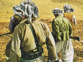 PYD'ye çifte destek