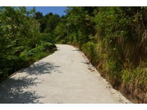 Çayeli Beldiyesi'nin Şehir Merkezindeki Çalışmaları Devam Ediyor