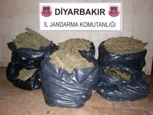 Diyarbakır'da 210 Kilogram Esrar Maddesi Ele Geçirildi