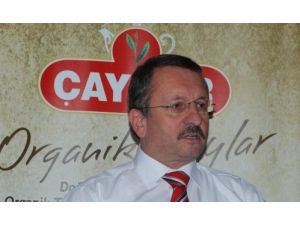 Çaykur, Üreticisinden 473 Bin Ton Çay Aldı