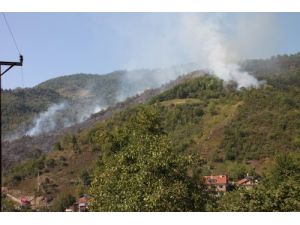 Ormanlı'da Çıkan Yangın Devam Ediyor