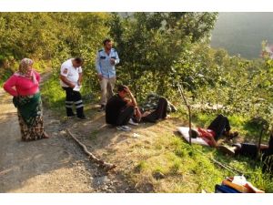 Yedikleri Yemekten Zehirlenen 17 Fındık İşçisi Hastanelik Oldu