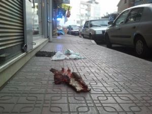 Gelişi Güzel Atılan Çöpler, Çevre Kirliliğine Davetiye Çıkartıyor