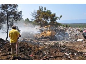 Burhaniye'de Bir Dönümlük Fıstıkçamı Alanı Yandı