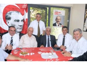 Zeytin İçin 4 İlçede Kampanya Başlıyor