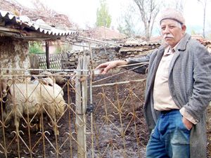 Gökçehüyük köyünde kurbanlık hayvan çalındı
