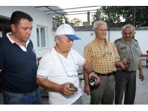 Orman Yangınına Uzaydan Gelen Göktaşı Sebep Oldu İddiası
