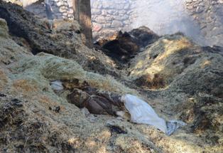 Akşehir'de samanlık yangını korkuttu