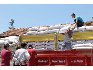 Yangında Zarar Gören Çiftçilere 22 Ton Yem Desteği Yapıldı