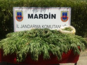 Sınırı Geçmeye Çalışan 57 Suriyelinin Üzerinde 23 Kilo Esrar Ele Geçirildi