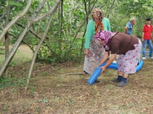 Fındığın En Büyük Gider Makineleşme İle Azaltılacak