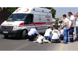 Alzheimer Hastası Kazada Hayatını Kaybetti