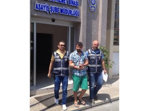 Telefon Dolandırıcısına Polis Oyunu