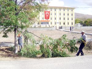 Halkapınar'da temizlik ve yeşillendirme çalışmaları