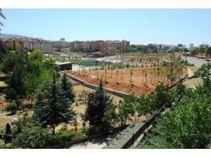 Dekmin Vadisi'ne Kardeş Geliyor