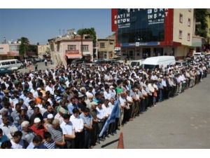 Yahyalı'da Mısır'daki Katliamı Duyurmak İçin Oturma Eylemi Yapılacak