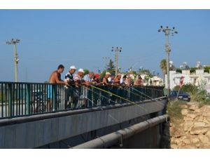 Tatilcilerin Balık Tutma Keyfi