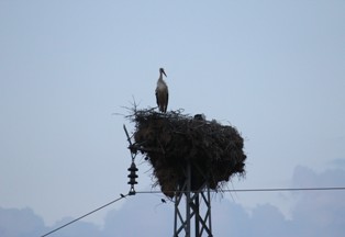Leylekler vadisi sessizliğe büründü