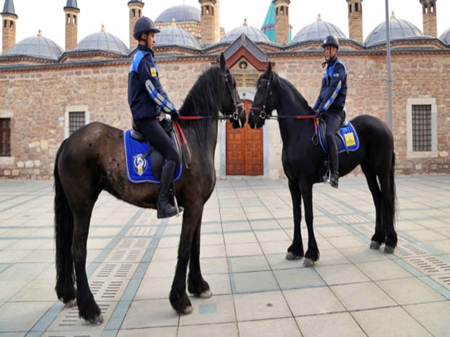 Hollanda atlarının kira sözleşmesi bitti