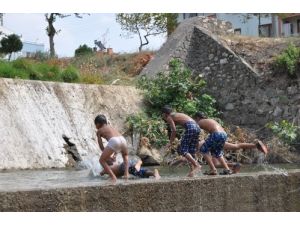 Çocuklar: Paramız Yok Pis Sularda Yüzüyoruz