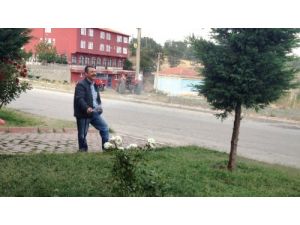 Belediyenin Yazı İşleri Müdürü, Gönüllü Bahçıvanlık Yapıyor