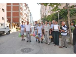 Mudanya'da Mahallelinin Pazaryeri İsteği
