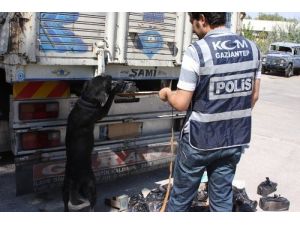 Koyun Yüklü Kamyonda 51 Bin 970 Paket Kaçak Sigara Ele Geçirildi