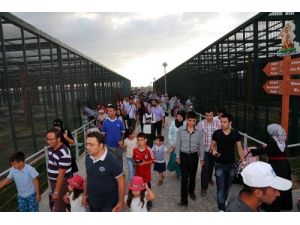 Hayvanat Bahçesini Bir Günde 18 Bin Kişi Ziyaret Etti