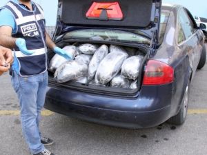 Alanya'da 79 Kilo Esrar Ele Geçirildi