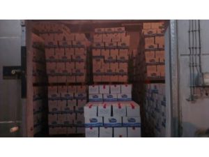 Gümrükte Ele Geçirilen 24 Ton Karides Satıldı, Hazineye 243 Bin Lira Girdi