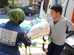 Arının Soktuğu Hamile Kadın Hastanelik Oldu