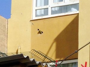 Roket duvara isabet etti