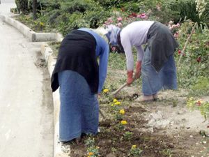 Konya, baharda çiçeklerle rengarenk olacak